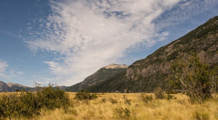 En Misiones descubrí por qué el mate es mucho más que una bebida: es un ritual que define a los argentinos