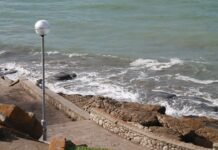Buceo en Mar del Plata: el deporte acuático que te va a cambiar la perspectiva del océano Atlántico