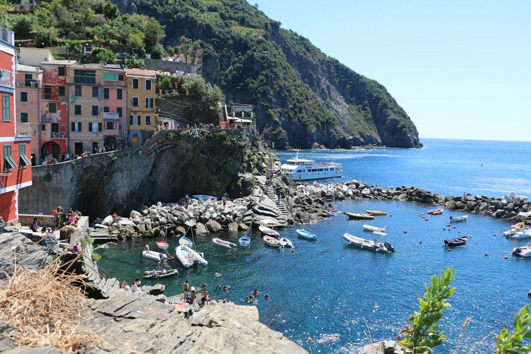 Liguria te espera: la costa italiana donde tu perro disfruta del verano como nunca