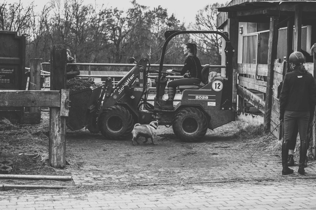 Berlín con tu perro: descubrí los parques secretos donde tu compañero peludo es la estrella