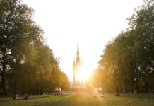 Londres con tu perro: descubrí por qué esta ciudad es el destino pet friendly que cambia todo