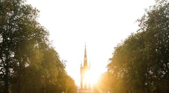 Londres con tu perro: descubrí por qué esta ciudad es el destino pet friendly que cambia todo