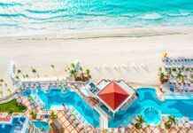 Cancún con tu perro: la guía que necesitabas para no dejar a tu mejor amigo en casa