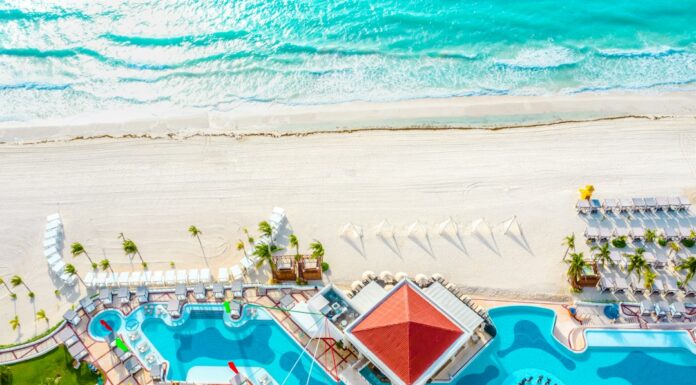 Cancún con tu perro: la guía que necesitabas para no dejar a tu mejor amigo en casa