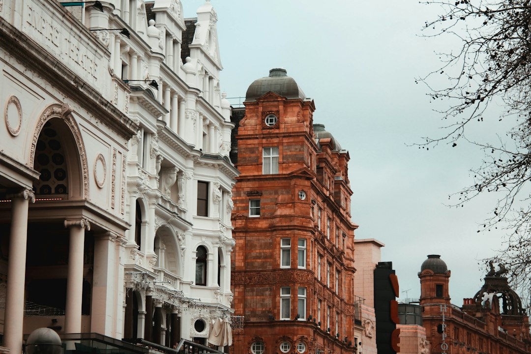 Llevá a tu perro a Londres sin culpa: estos 4 hoteles te lo permiten (y sin cargos extras)