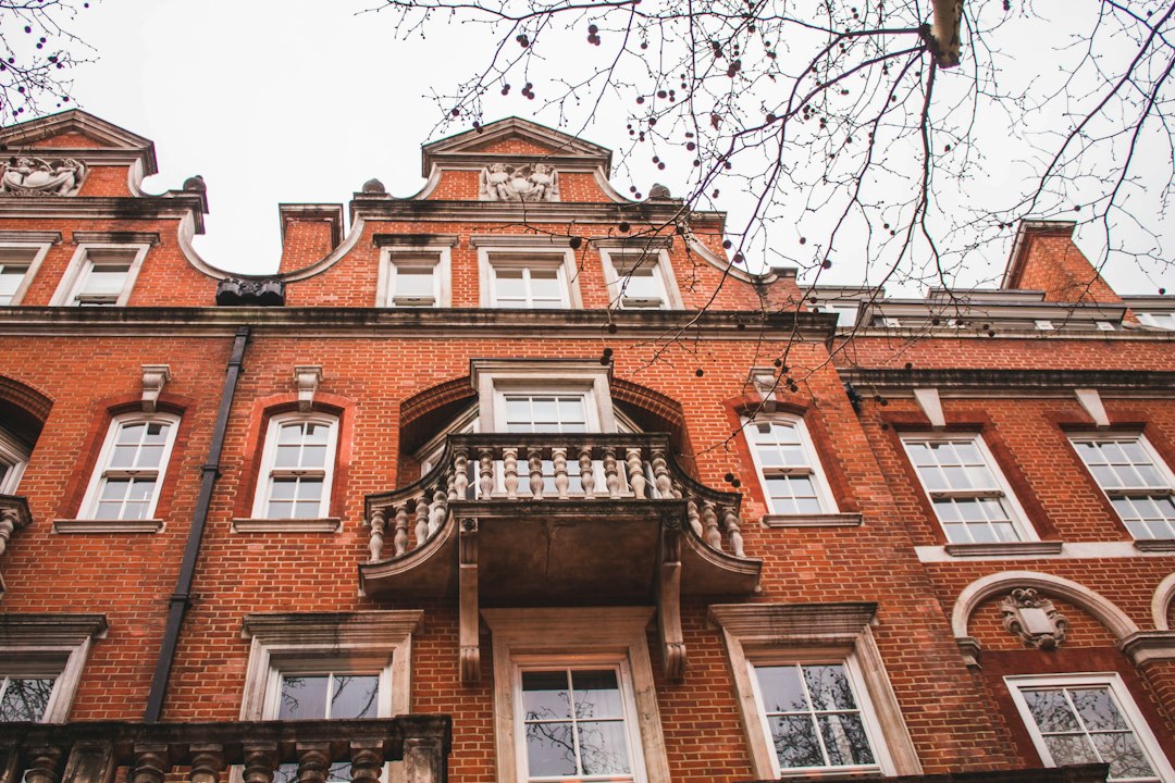 Llevá a tu perro a Londres sin culpa: estos 4 hoteles te lo permiten (y sin cargos extras)