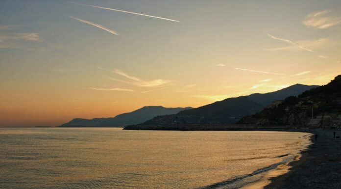 Liguria te espera: la costa italiana donde tu perro disfruta del verano como nunca