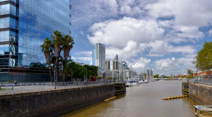 Viajar con tu perro a Buenos Aires: los hoteles donde tu compañero peludo es tan bienvenido como vos