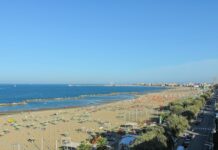 Italia te llama: cómo viajar con tu perro a las playas más hermosas del Mediterráneo sin estrés