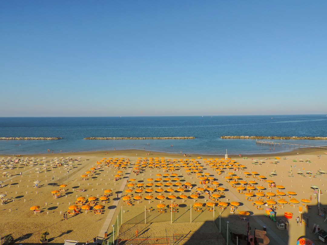 Italia te llama: cómo viajar con tu perro a las playas más hermosas del Mediterráneo sin estrés
