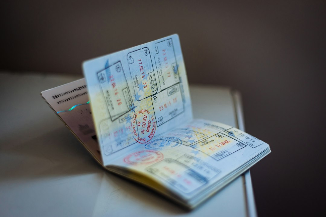 Viajar con tu gato: la guía completa de documentos y requisitos que no podés ignorar