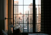 Viajar a Nueva York con tu perro: los mejores hoteles pet friendly donde te recibirán como un VIP