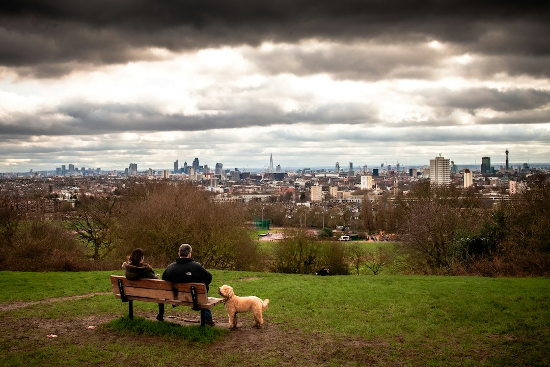 Llevá a tu perro a Londres sin culpa: estos 4 hoteles te lo permiten (y sin cargos extras)