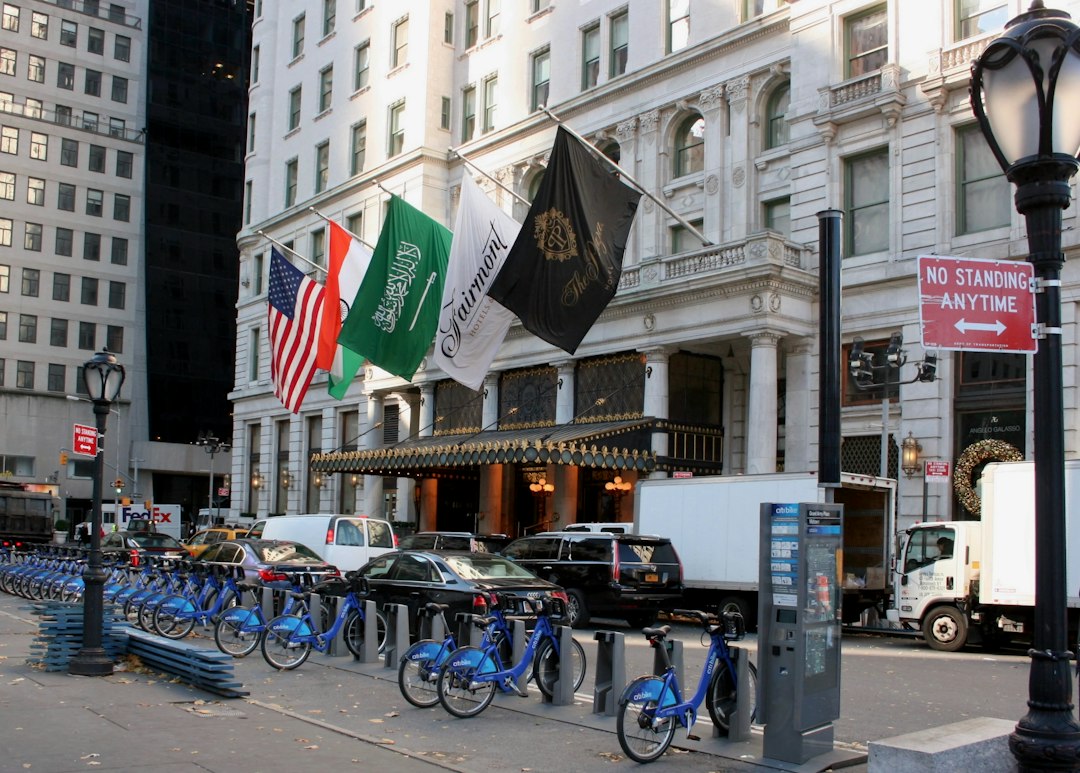 Viajá a Nueva York con tu perro: estos hoteles te abren las puertas (y el corazón)