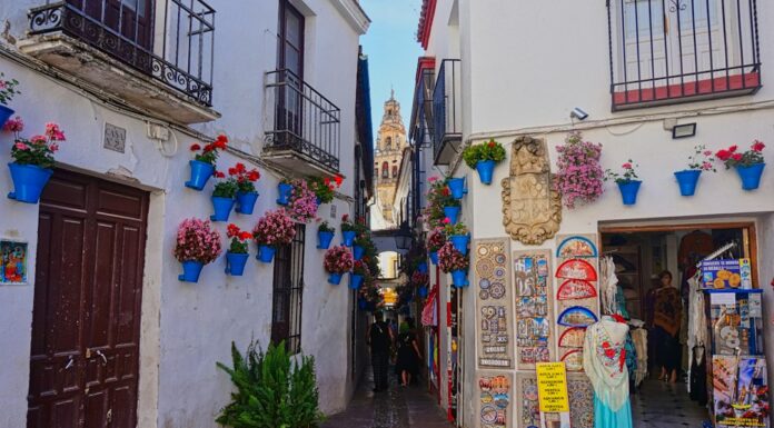Córdoba tiene un circuito cultural imprescindible y vos todavía no lo conocés