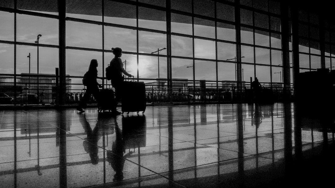 Viajar con tu gato a Brasil: la guía completa para no quedarte en casa