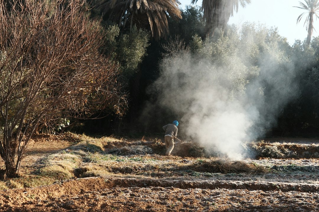El tajín marroquí que probás en Marrakech es mucho más que comida: es una ceremonia