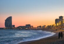 Estos 5 destinos del mundo son perfectos para viajar con tu perro sin culpas