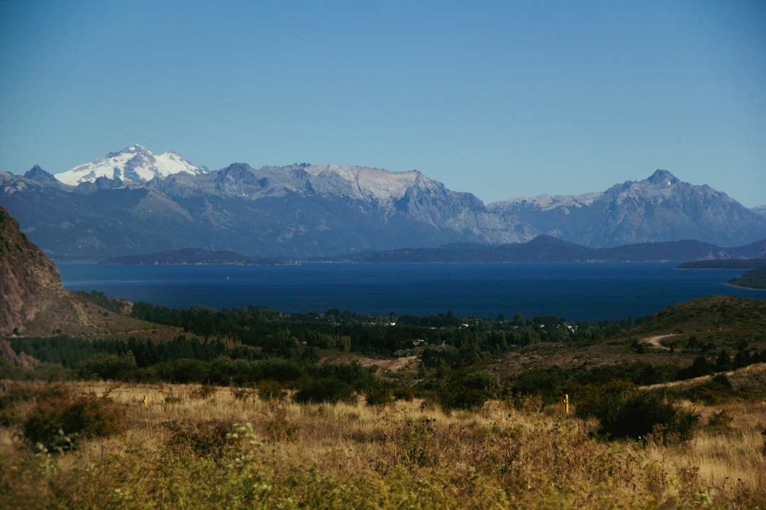 Volá con tu perro a Bariloche sin estrés: la guía que todo viajero argentino necesita
