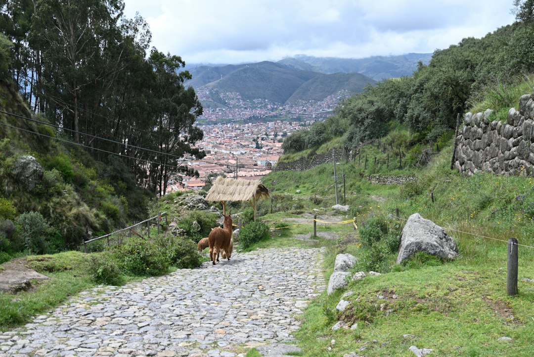 El Camino Inca a Machu Picchu: la caminata que cambió mi forma de viajar