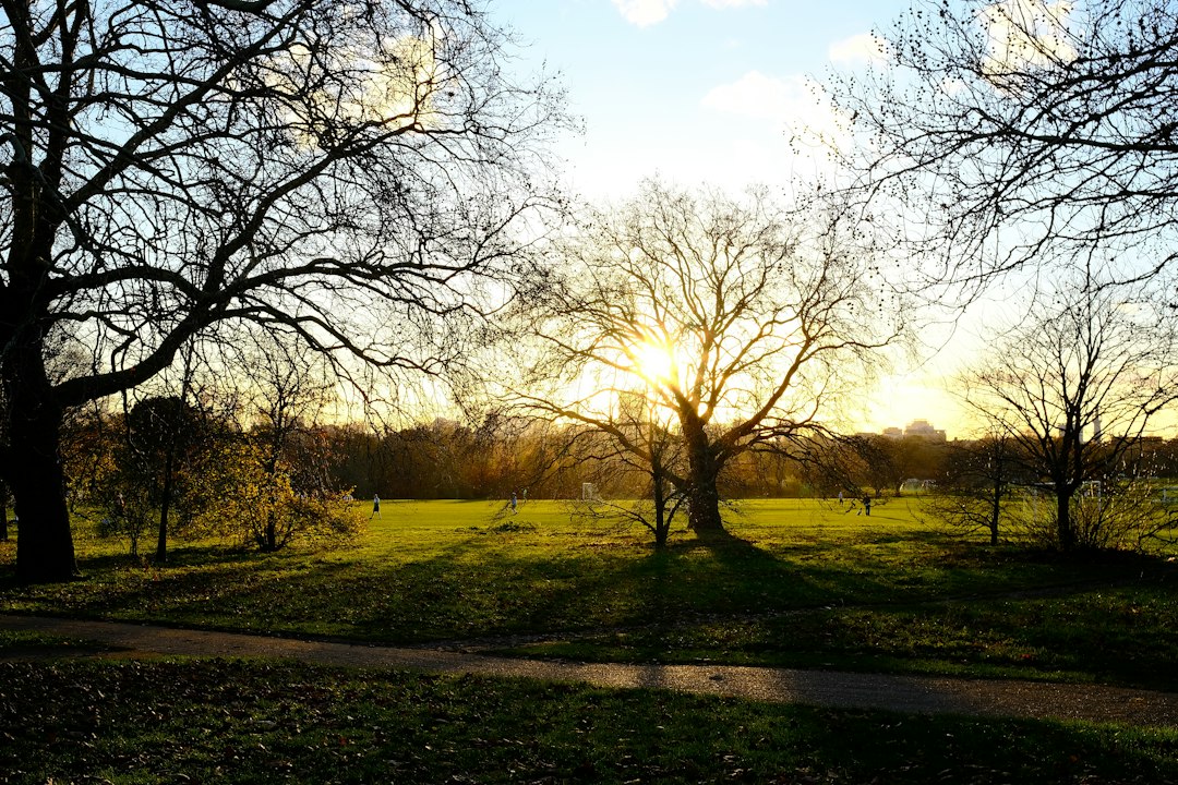 Londres con tu perro: descubrí por qué esta ciudad es el destino pet friendly que cambia todo