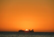 Centolla recién sacada del Atlántico: por qué Puerto Madryn es el secreto mejor guardado de los amantes del marisco